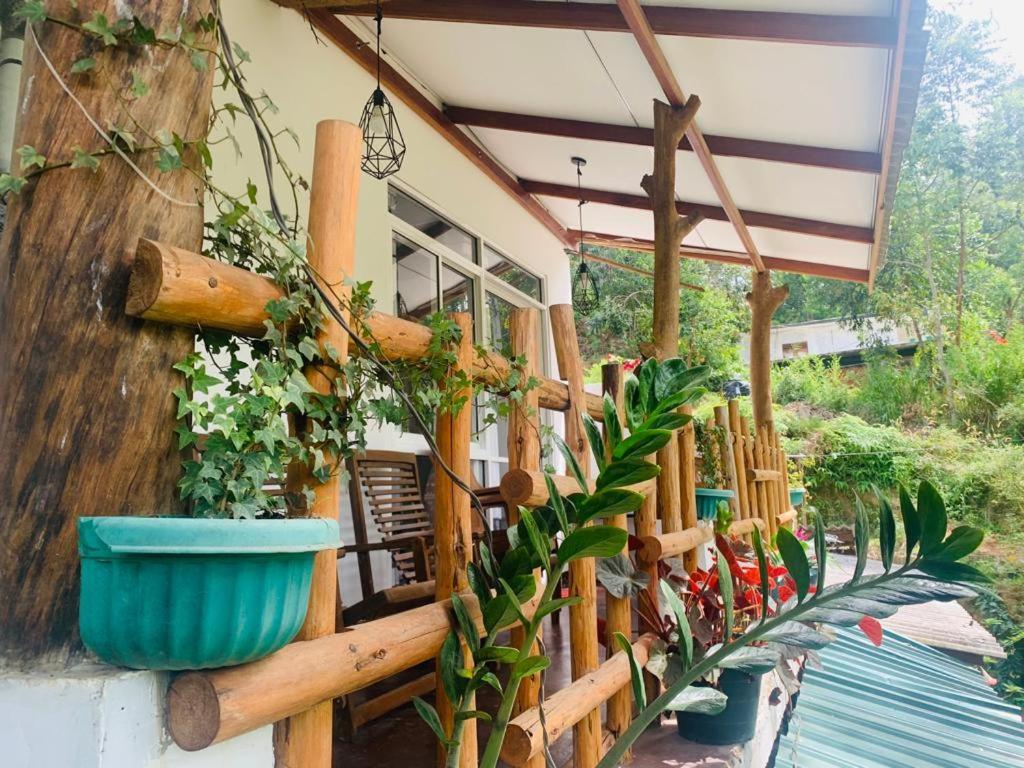 Hotel Ella Forest Eco View Exterior foto